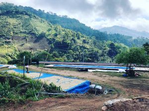 新年一度目のタイ視察