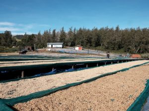 寝るの失敗しました