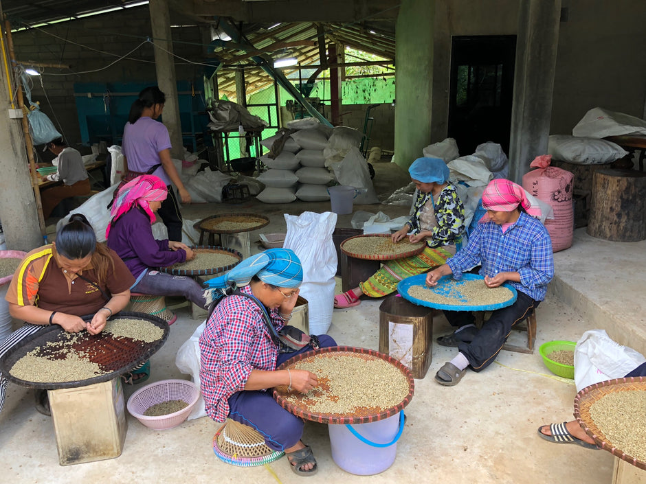 チャーリー深煎り　タイ