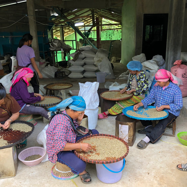 チャーリー浅煎り　タイ